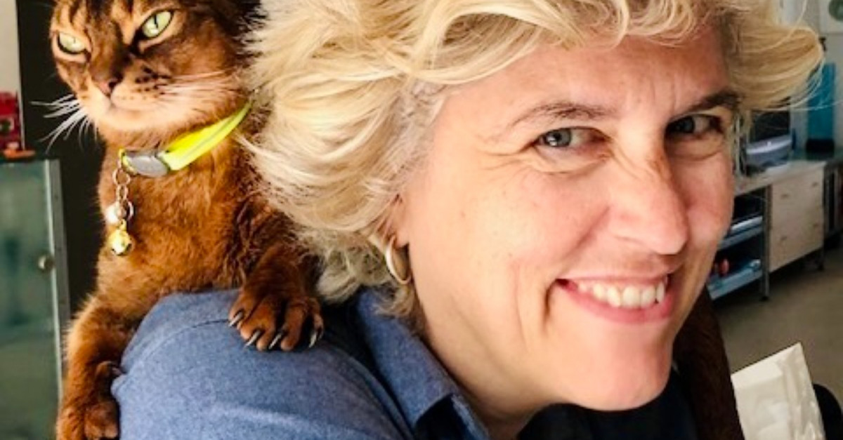 De kat van Mensje van Keulen (of een (un)eventful inkijkje in het