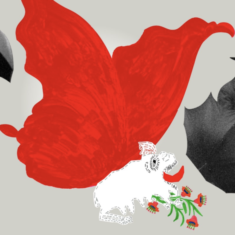 International Documentary Filmfestival Amsterdam (IDFA) | Amsterdam
