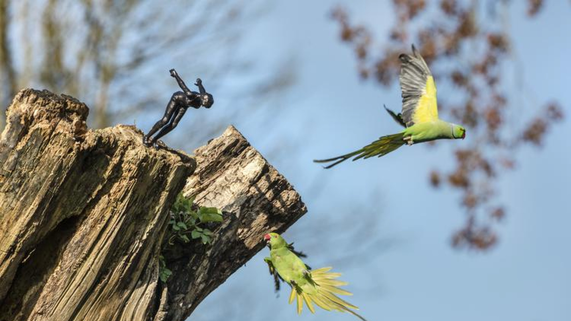 De Wilde Stad - Netwerk Filmeducatie